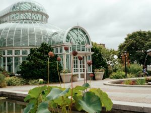 A green house